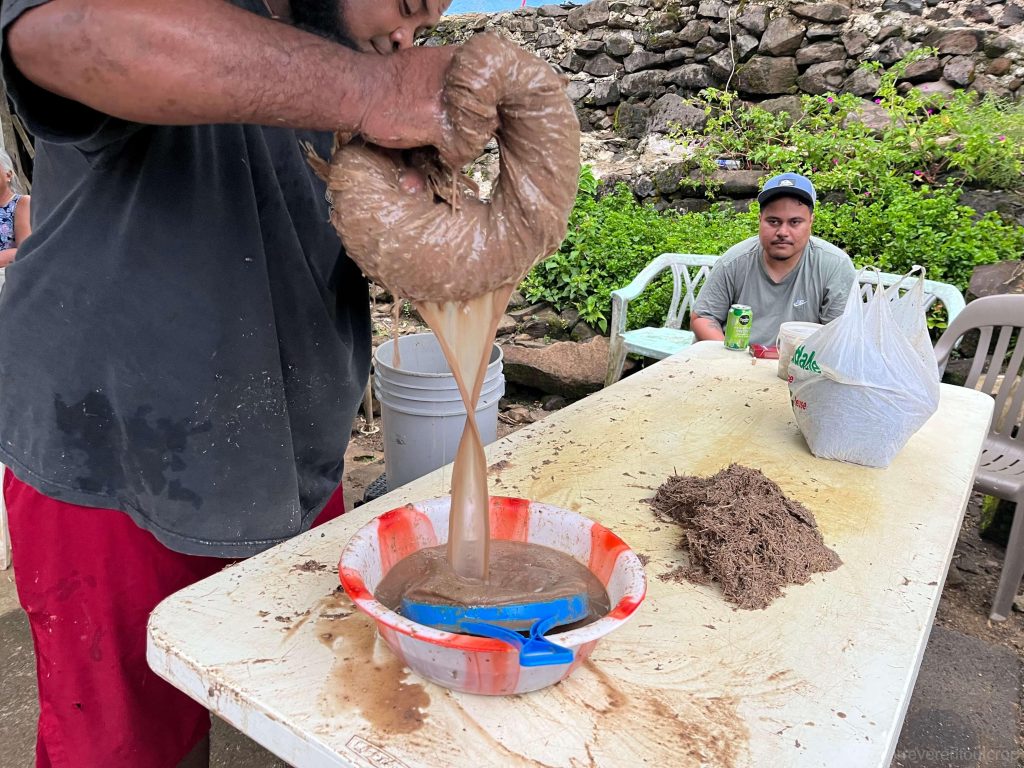 制造卡瓦 making kava