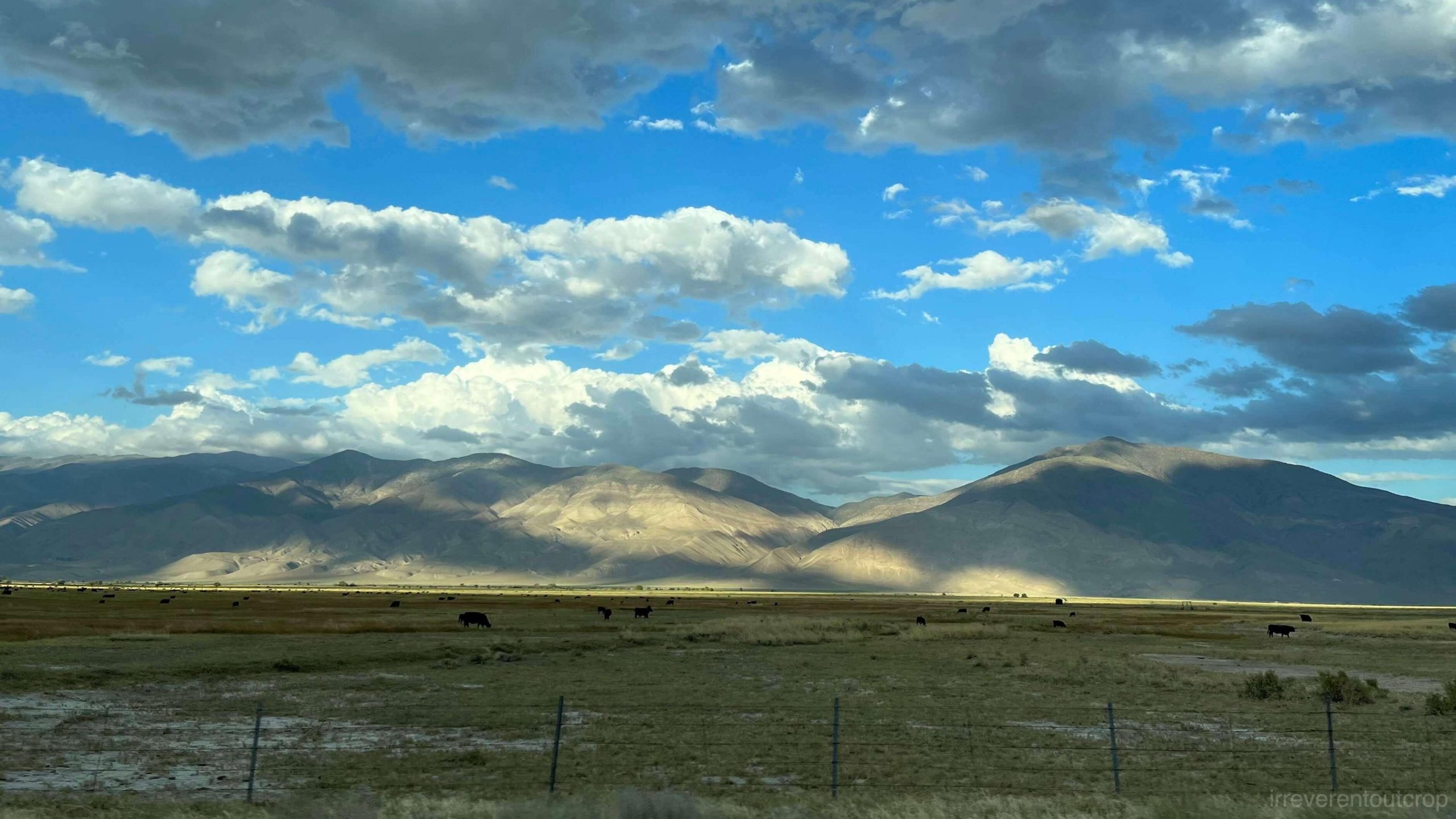 White Mountains of Inyo National Forest in California