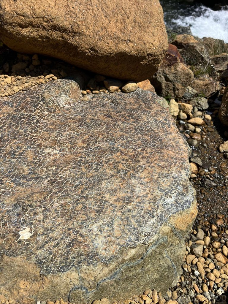 Completely metamorphosed serpentinite