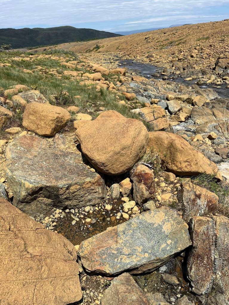 Completely metamorphosed serpentinite