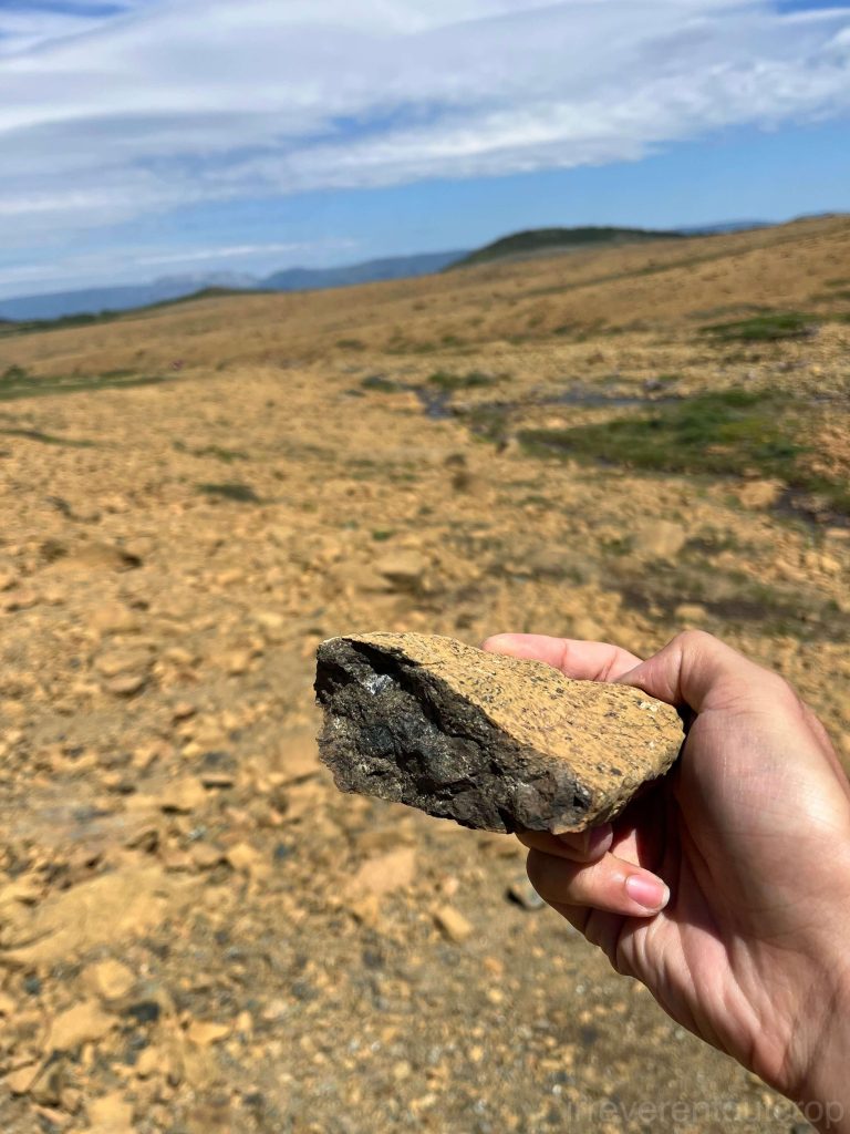 Unoxidized peridotite's dark color contrasts with the yellow surface.