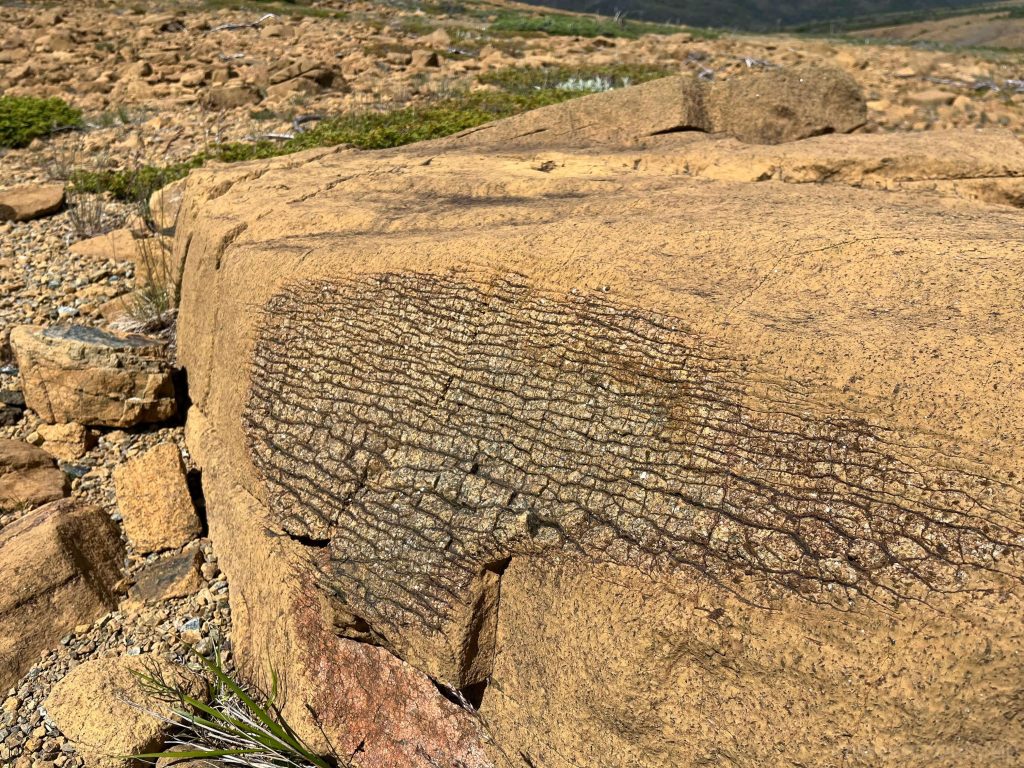 These look like partially serpentinized rock