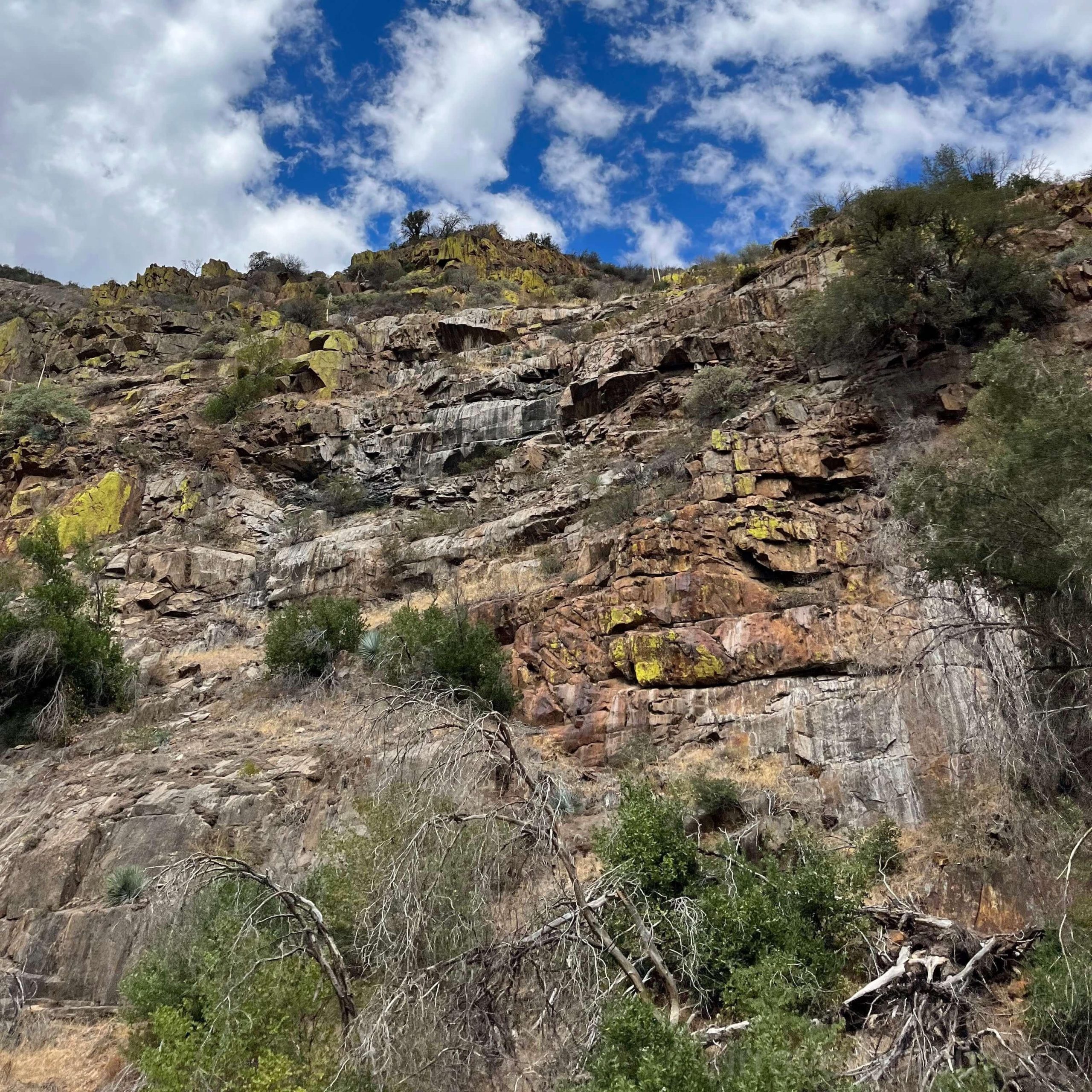 weathered metarhyolite - a kind of metamorphic rock