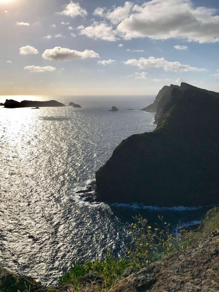 豪勋爵岛外侧的玄武岩峭壁
