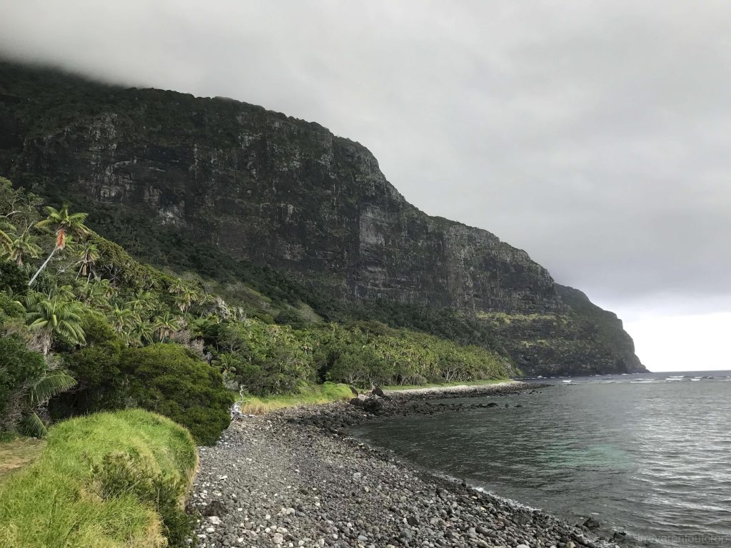 利居柏德山的玄武岩石壁