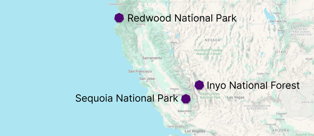 Inyo National Forest, Redwood NP and Sequoia NP in California are home to the world's oldest, tallest, and largest trees.